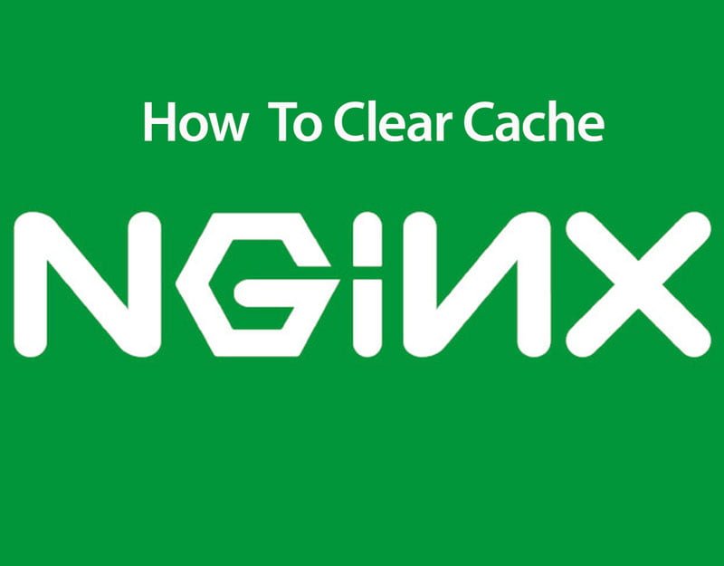 How To Purge or Clear NGINX Cache
